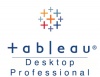 Tableau Desktop Professional